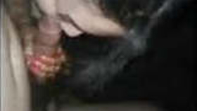 Newlyweds indulge in sensual pleasures in high definition