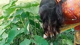 Bankura bengali bhabhi village sex video