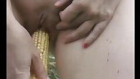 Punjabi wife sucks and fucks corn bhuta in the fields