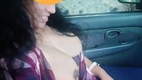 Cute girl having sex in the car