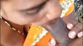 Desi Village Randy Blowjob VDO